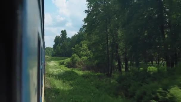 Boční Pohled Vysokorychlostní Soustružení Vlaku Krajinu Krásné Přírody Divoké Pole — Stock video