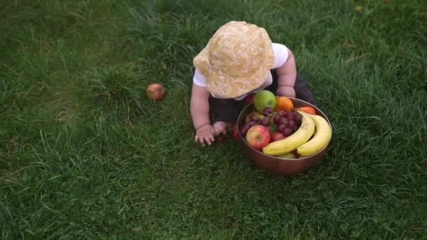 Panama Şapkalı Küçük Bir Çocuk Büyük Bir Kâse Taze Meyveyle — Stok video
