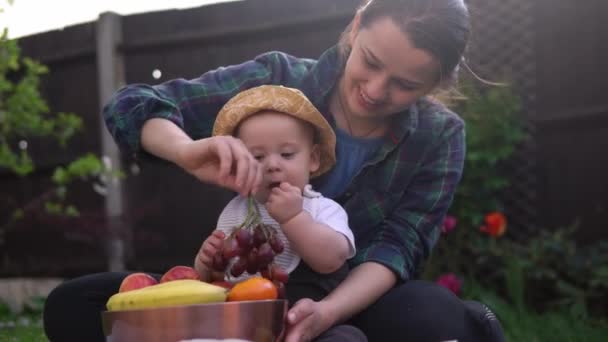 Jovem Feliz Mãe Alegre Segurando Bebê Comendo Frutas Grama Verde — Vídeo de Stock