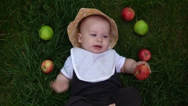 夏のパナマの帽子の幸せな新生児新鮮な果物のリンゴと夏の晴れた日に裸足で芝生の上に寝そべってください 幼児幼児男の子庭で笑顔健康食品自然収穫 — ストック動画
