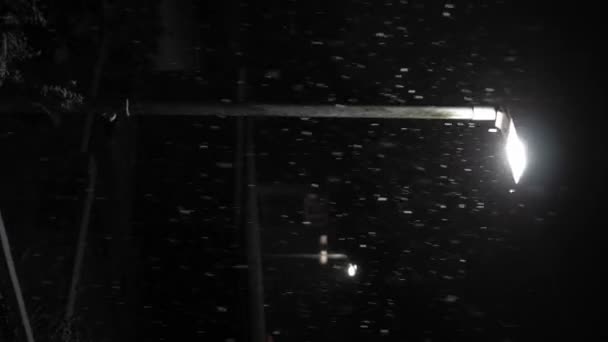 Первый Снегопад Наложился Черный Фон Великобритании Падающие Снежинки Свете Ночной — стоковое видео
