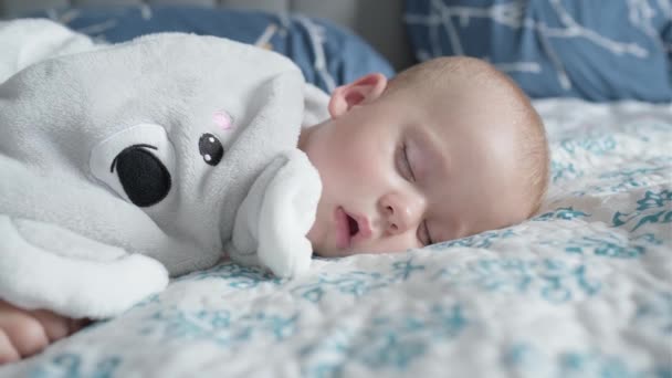 Infancy Childhood Development Medicine Health Concept Close Face Sweaty Newborn — Stock Video
