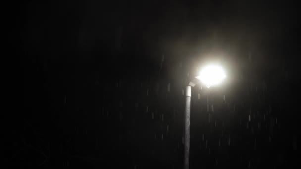 Első Hóesés Overlay Egyesült Királyságban Fekete Háttér Falling Hópelyhek Fény — Stock videók