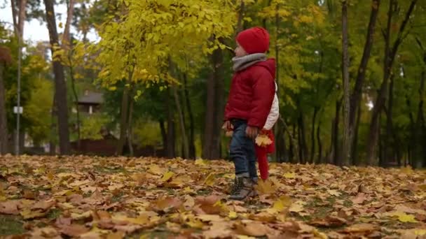 两个快乐有趣的孩子 男孩女孩在公园的森林里散步 享受秋天的自然天气 收集小朋友把落叶扔在篮子里 寻找躲在树后的蘑菇 — 图库视频影像
