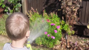 Bahçenin arka bahçesindeki çim bitkilerini sulayan komik küçük çocuk. Sıcak güneşli bir yaz gününde sulama hortumuyla oynayan sevimli bir çocuk. Çocuklar ev işlerine yardım eder. Çocuklar için etkinlik. Çocukluk.