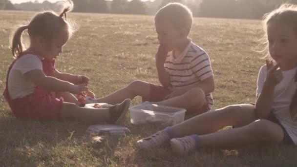 People Park Happy Family Silhouette Sitting Grass Sunset Mom Three — Stockvideo