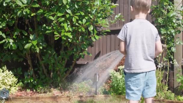 Lustig Liten Pojke Vattna Gräsmatta Växter Trädgården Bostäder Bakgård Bedårande — Stockvideo