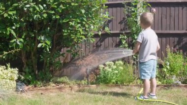 Bahçenin arka bahçesindeki çim bitkilerini sulayan komik küçük çocuk. Sıcak güneşli bir yaz gününde sulama hortumuyla oynayan sevimli bir çocuk. Çocuklar ev işlerine yardım eder. Çocuklar için etkinlik. Çocukluk.