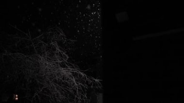 Birleşik Krallık 'taki ilk kar yağışı örtüsü kara arka planda. Gece Yolu 'ndaki Lambanın Işığında Düşen Kar Taneleri Kış, Yavaşça Düşen Kar Etkisi. Hava Durumu, Anomali, Acil Durum Konsepti.