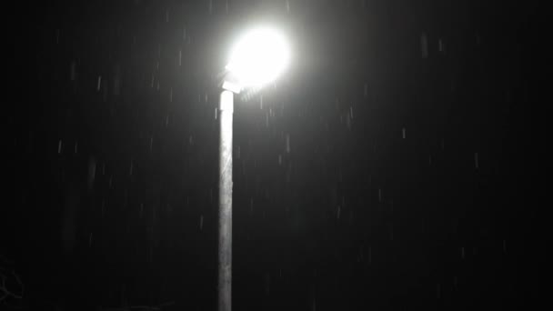Πρώτη Επικάλυψη Χιονοπτώσεις Στο Ηνωμένο Βασίλειο Μαύρο Φόντο Πτώση Νιφάδες — Αρχείο Βίντεο