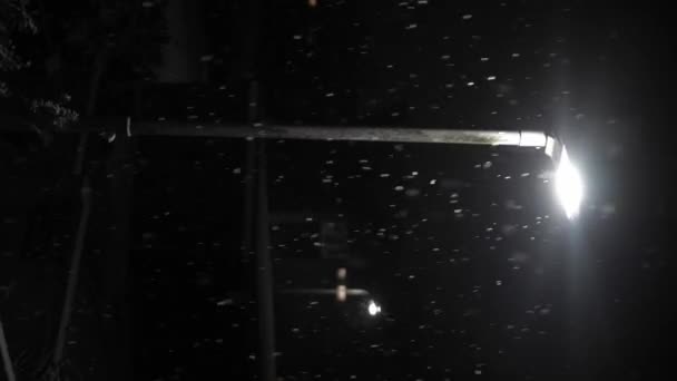 Первый Снегопад Наложился Черный Фон Великобритании Падающие Снежинки Свете Ночной — стоковое видео