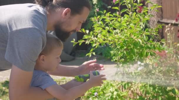 Padre Hijo Divertido Niño Regando Plantas Césped Jardín Que Alberga — Vídeos de Stock