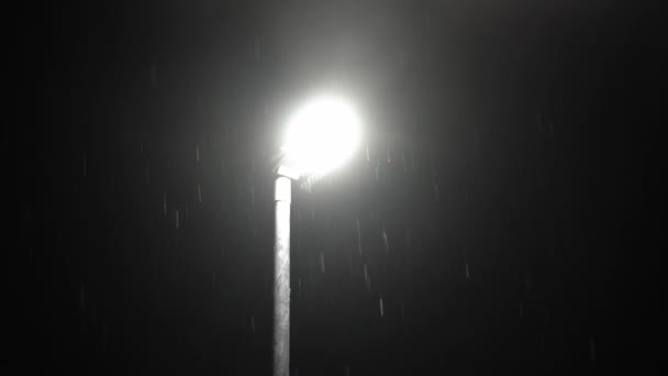 Erste Schneefall Überlagerung Großbritannien Schwarzer Hintergrund Fallende Schneeflocken Licht Der — Stockvideo
