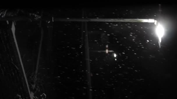 Prima Copertura Nevosa Nel Regno Unito Black Background Falling Snowflakes — Video Stock