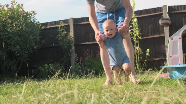 Bebé Los Primeros Pasos Hierba Dady Padre Camina Con Hijo — Vídeo de stock