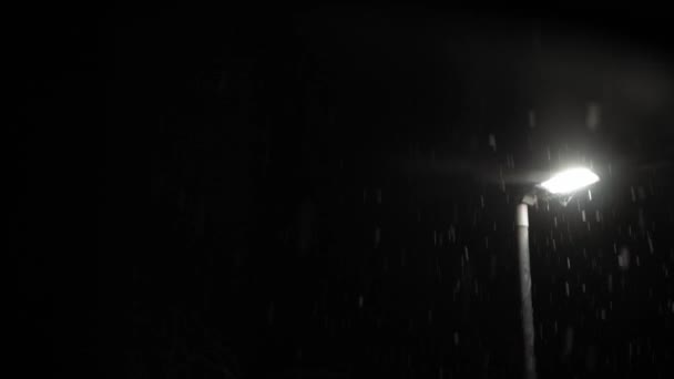 Перший Снігопад Оверлея Великій Британії Чорний Фон Падіння Сніжинок Світлі — стокове відео
