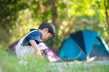 Happy little boy enjoying with adventure activity camping tent in green forest boy in nature