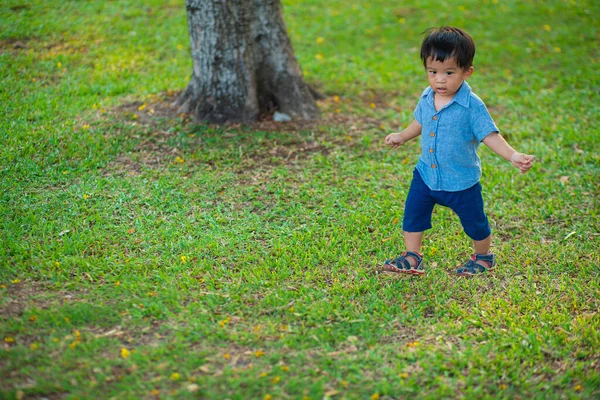 Малыш Играет Вольные Прогулки Городском Парке Мальчик Активностью Свежем Воздухе — стоковое фото