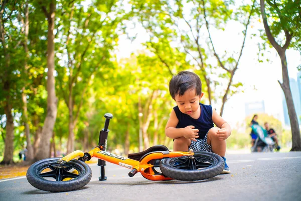 Yeşil Çim Ağacı Parkında Denge Bisikleti Oynayan Küçük Anaokulu Çocuğu — Stok fotoğraf