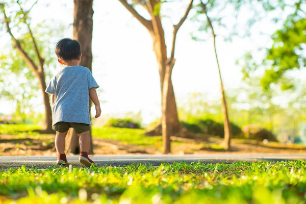 Мальчик Ходит Зеленой Траве Городском Парке Закат Свет Мальчика Открытом — стоковое фото