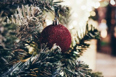 Çam ağacının dalındaki Noel balosu arka planda bulanıklaştı Mutlu yıllar