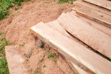 Orman kereste endüstrisinde büyük ağaç kesimi.