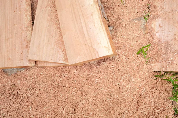 Grande Albero Legno Tagliato Nel Settore Forestale Legname — Foto Stock