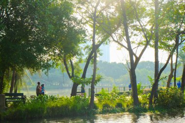 Kamu parkında sabah vakti sisli nehir doğumu doğa manzarası
