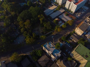 Şehir binasındaki yol manzaralı Gree Ağacı Parkı