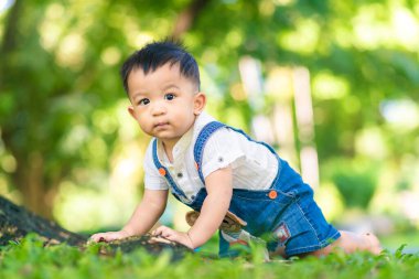 Ağaç parkının altındaki yeşil çimlerde sürünen küçük bir çocuk.