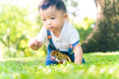 Ağaç parkının altındaki yeşil çimlerde sürünen küçük bir çocuk.