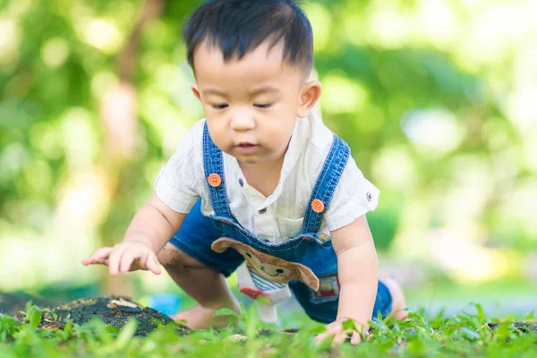 stock image Little 1 year boy crawling on green grass under tree park outdoor