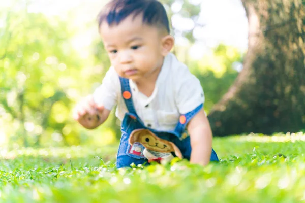 Liten Årig Pojke Kryper Grönt Gräs Träd Park Utomhus — Stockfoto