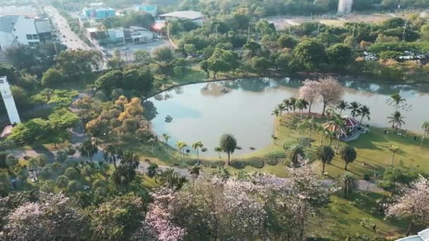 泰国曼谷市中心设有写字楼的鸟瞰城市公共森林公园 免版税图库视频片段