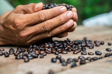 Elde kavrulmuş kahve çekirdeği, ahşap masa aroması, ham ürün.
