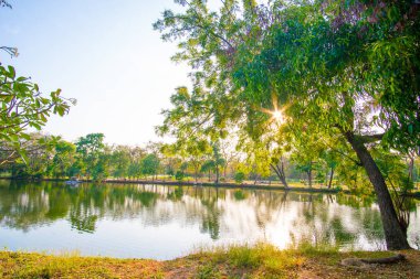 Şehir parkında akşam güneşi... yeşil ağaç ormanı ve nehir manzarası.