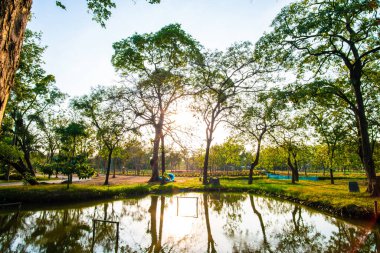 Şehir parkında akşam güneşi... yeşil ağaç ormanı ve nehir manzarası.