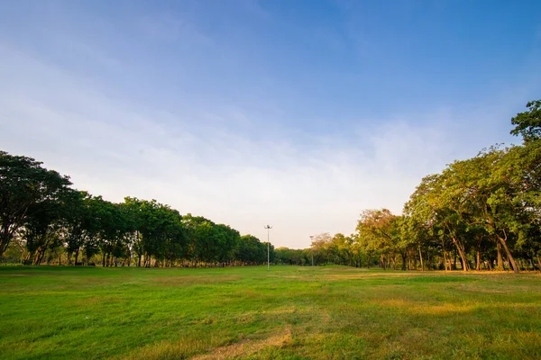 Pradera Hierba Verde Con Bosque Árboles Parque Ciudad Contra Cielo —  Fotos de Stock