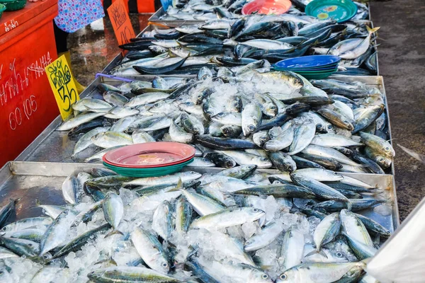 Atum Marisco Atum Listrado Venda Mercado Produtos Mar Indústria Alimentar — Fotografia de Stock