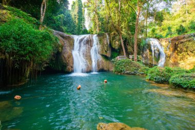 Tayland 'ın tropikal yağmur ormanlarındaki dinginlik şelalesi.