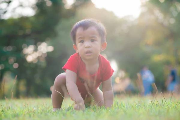 Toddler Рік Азіатський Хлопчик Грає Зеленій Траві Парк Дерев Розслабитися — стокове фото