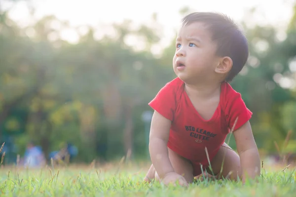 Tuddler Asiatisk Pojke Spelar Grönt Gräs Träd Park Koppla Utomhus — Stockfoto