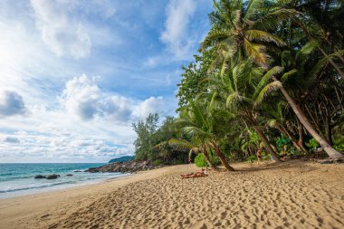 Hindistan cevizi palmiyeli cennet sahili tropik ağaç ormanı yaz tatili doğa manzarası