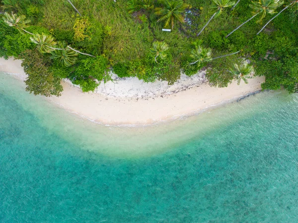 Вид Воздуха Красивый Кокосовый Пальма Белый Песок Пляж Солнечный День — стоковое фото
