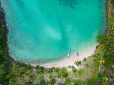 Kumsaldaki tropik palmiye ağaçları ve yukarıdan gelen turkuaz okyanus. Hava manzaralı yaz doğa manzarası.