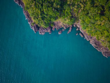Tropikal ada yaz tatili konseptinde yeşil ağaç ormanıyla hava manzaralı sahil dalgası.