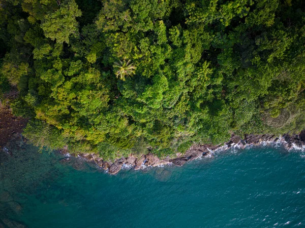 stock image Green tree forest on tropical mountain in island nature landscape aerial view