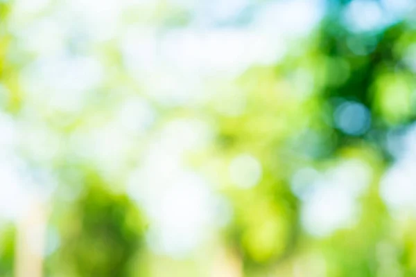 stock image Abstract blurred green tree park nature background with bokeh