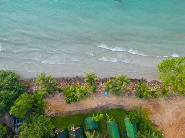 热带棕榈树在沙滩上 蓝绿色的海洋从上方 空中景观夏季自然景观 — 图库照片