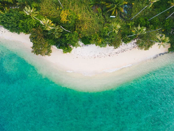 Tropikalne Palmy Piaszczystej Plaży Turkusowy Ocean Góry Widok Lotu Ptaka — Zdjęcie stockowe